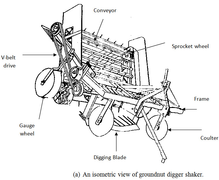 FM&E_2: LESSON 16. POTATO AND GROUNDNUT DIGGERS